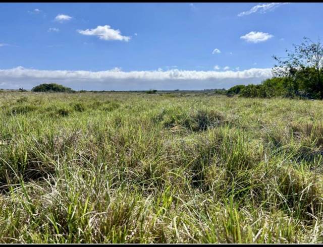 FARM FOR SALE IN MOSSEL BAY RURAL